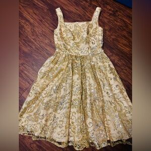 Fifteen Roses Dress Dance Costume size 0 NEW